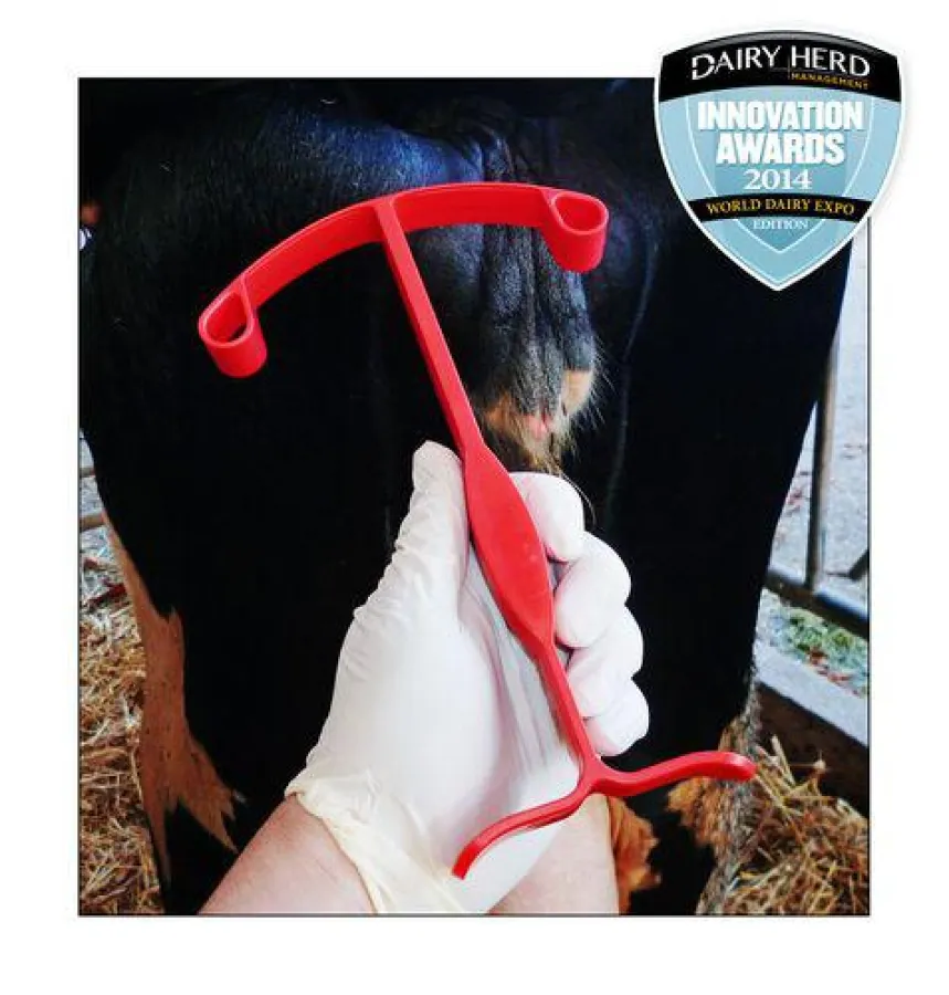 iVET bei QuIdee: Abkalbe- und Fieberalarm aufs Mobiltelefon