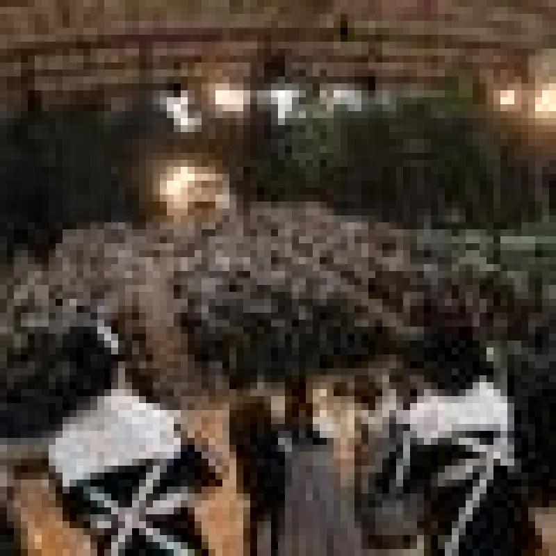 2011 wird das NaturTheater Bad Elster 100 Jahre alt