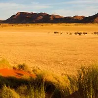 Bild: Individuelle Namibia Reisen und Selbstfahrer-Touren