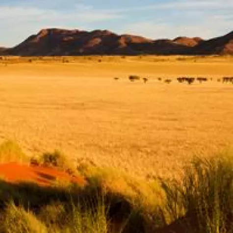 Bild: Individuelle Namibia Reisen und Selbstfahrer-Touren