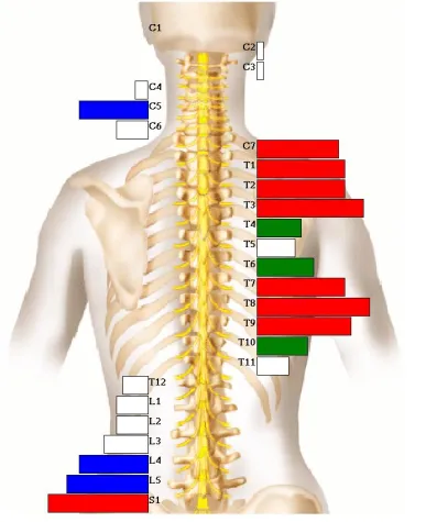 Bild: Kostenloser Wirbelsäulenscan