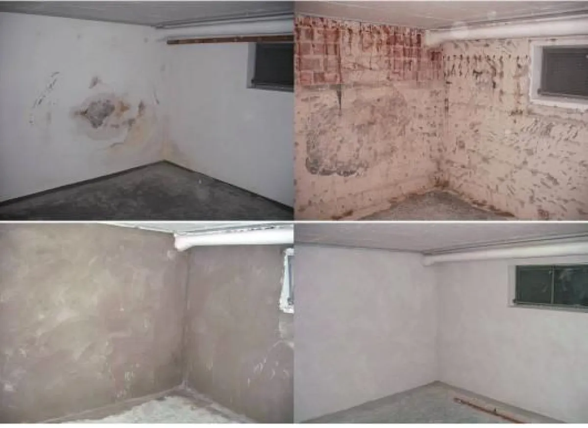 Salzausblühungen und Schimmelbildungen sind typische Folgen von Feuchteschäden im Mauerwerk.