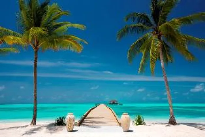 Bild: Oh Palme, oh Palme wie schön grünst Du zu jeder Zeit… Atmosphere Hotels & Resorts
