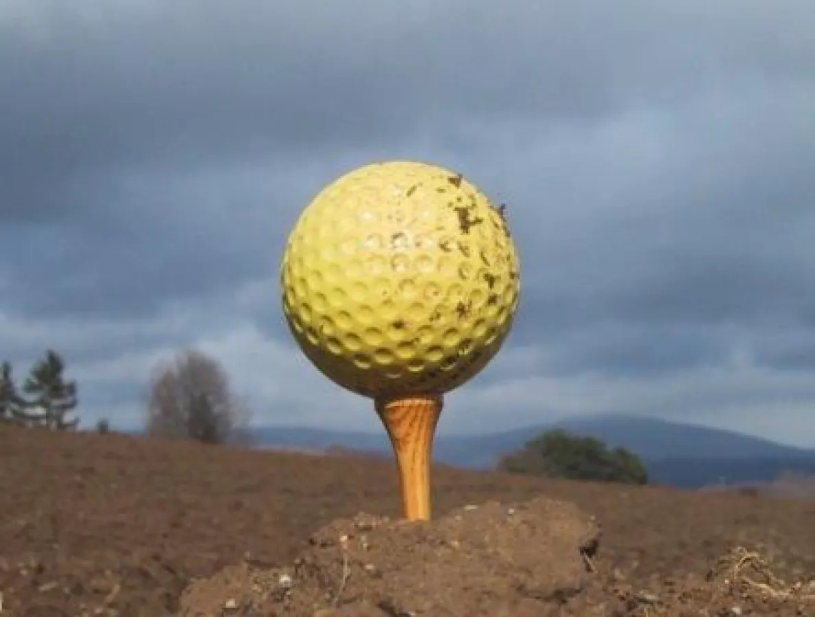 © Foto CONSULTus GmbH