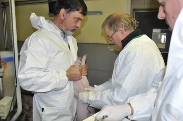 Bild: Tierärzte können auch anders: Der Antibiotika- „Skandal“ und die Tierärzte - Weniger Antibiotika – geht doch!