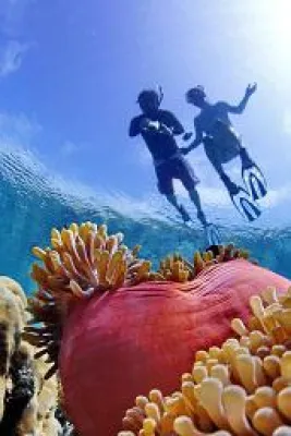 Bild: Auf Tauchstation im Paradies