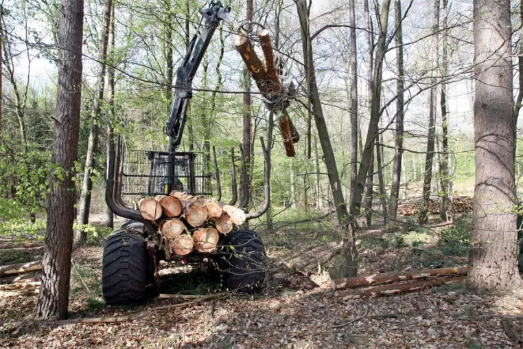 Bild: Holzlogistik - Mitwirken und Profitieren