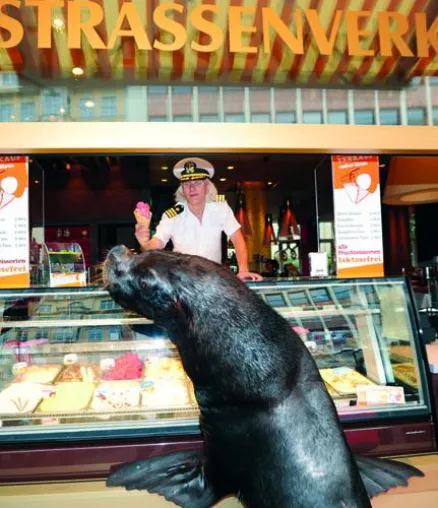 Tierisch gut: Seelöwe Roger zu Gast in Leipziger Innenstadt Bild: Tierisch gut: Seelöwe Roger zu Gast in Leipziger Innenstadt