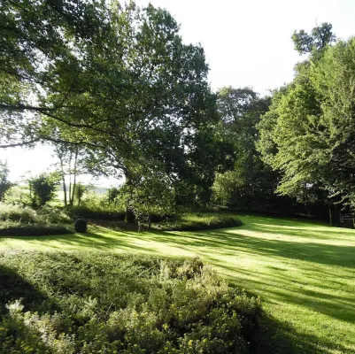 Bild: Deutsche Friedhofsgesellschaft senkt Gebühren und bietet Grabkauf online an