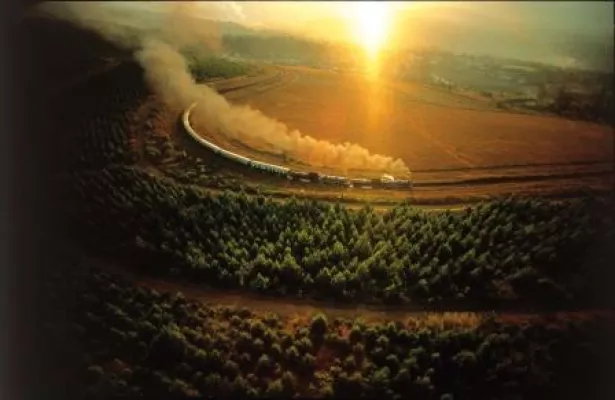 Bild: Wilde Tiere, ein gutes Glas Wein und entspannte Nächte: