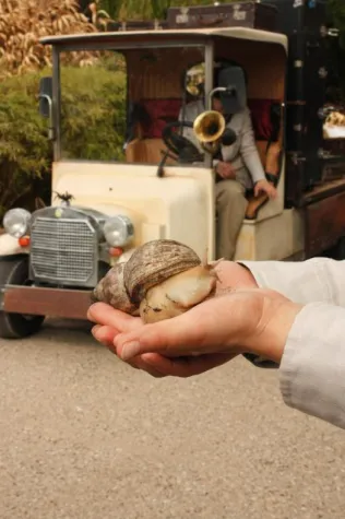 Kribbelt's schon? Bild: Kribbelt's schon?