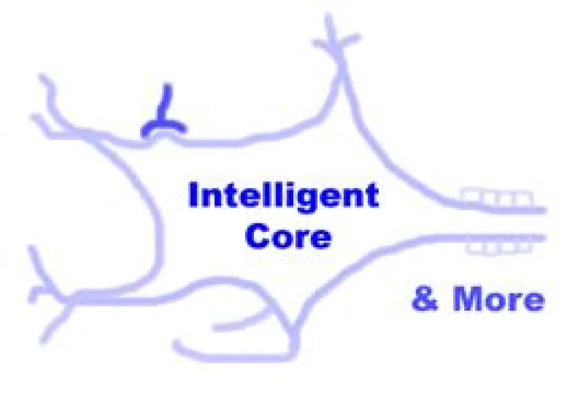 Intelligent Core® Firmenlogo, Produktlogo, Servicelogo