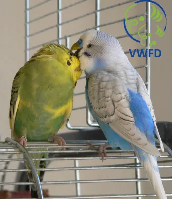 Bild: Jeder Tag sollte Welttierschutztag sein