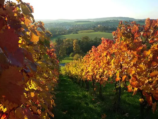 Genießerregion Hohenlohe als Ausflugsziel Bild: Genießerregion Hohenlohe als Ausflugsziel