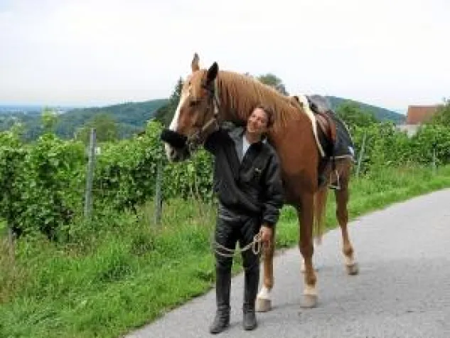 Bild: Sponsoringprojekt: 6000 km in 180 Tagen: Der lange Ritt des Pilgers nach Hause