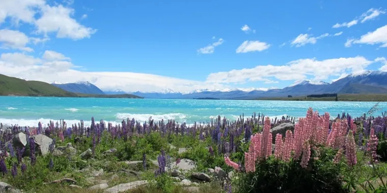 Bild: Schüleraustausch Neuseeland und Corona: 6 Punkte zu den Aussichten für das Schuljahr 2020 und 2021