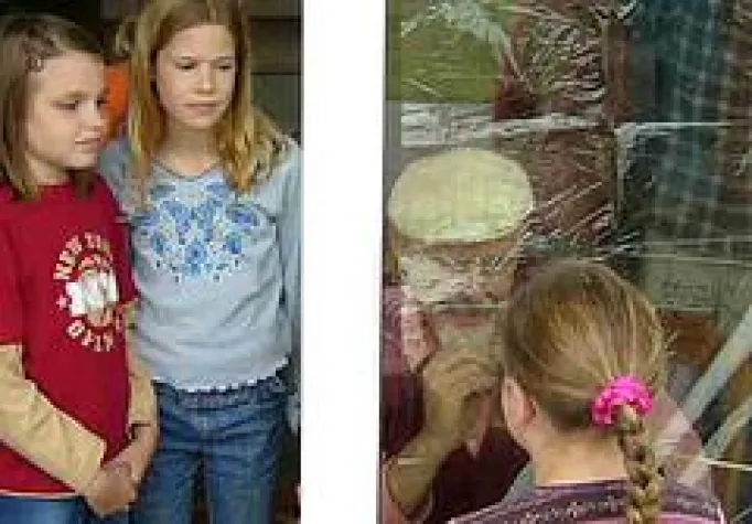 Online Zeichnen lernen – leichter denn je Bild: Online Zeichnen lernen – leichter denn je