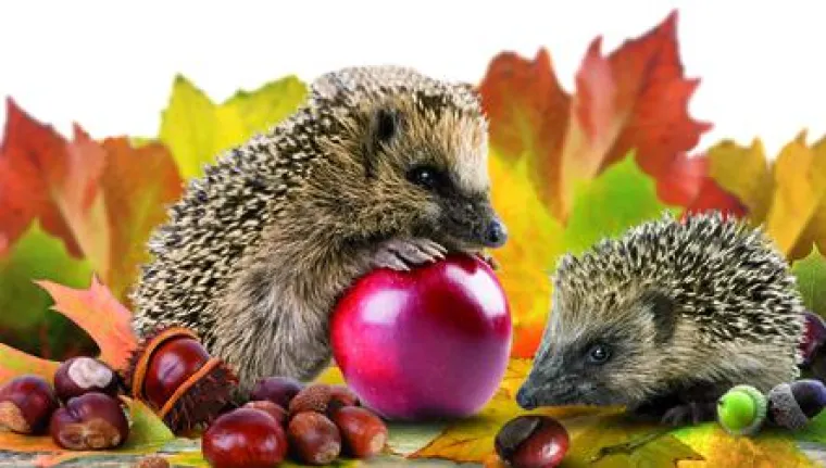 Bild: Nach dem Urlaub ist vor dem Urlaub