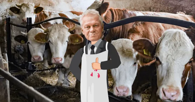 Bundeslandwirtschaftsminister "Alois Rainer, den mag keiner"  Bild: Bundeslandwirtschaftsminister "Alois Rainer, den mag keiner"