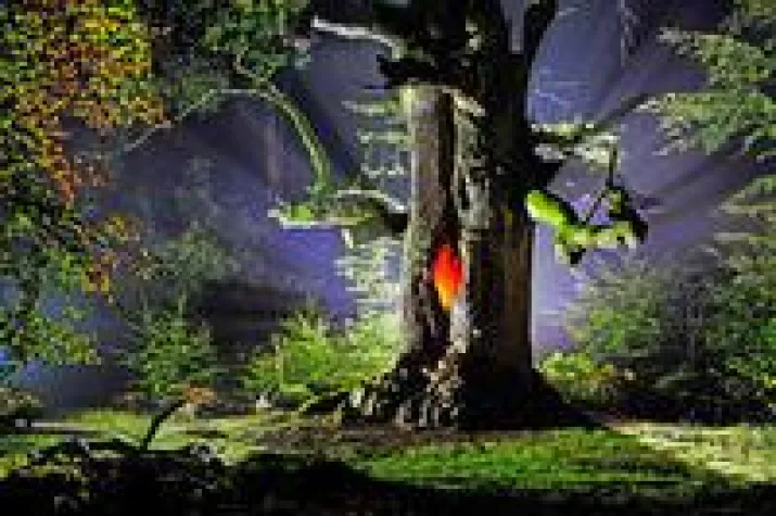 Bild: Stars für eine Nacht – Lichtkunst in Kassel und Deutschland – Andreas Weber