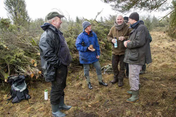 Bild: Freiwillige gesucht! Wachholderheide im Müritz-Nationalpark braucht Hilfe