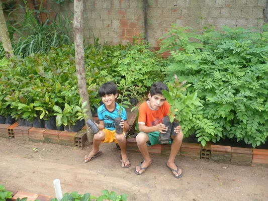 Bild: Spendenaktion von Franco Fresco: Alle sechs Minuten ein neuer Baum