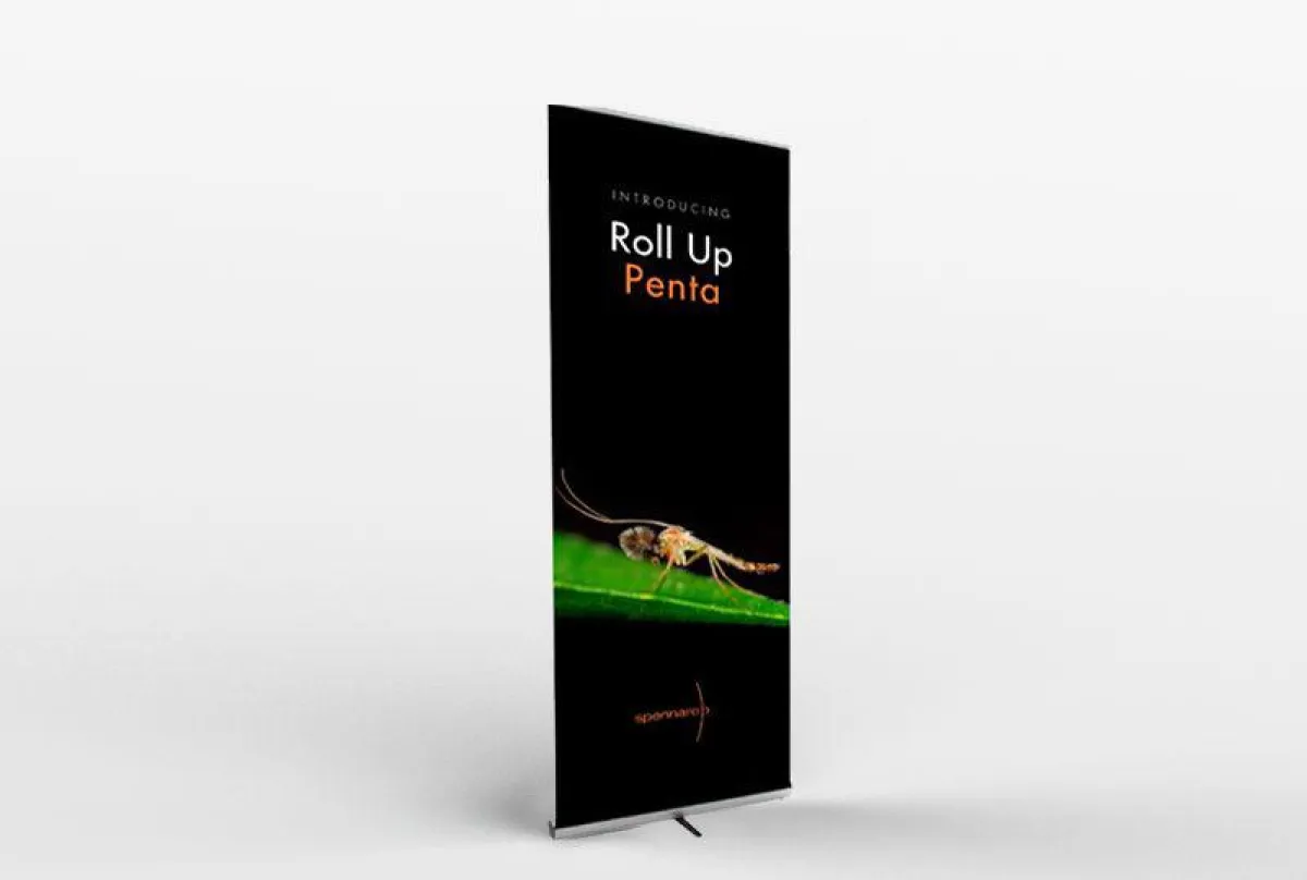 Rollup Spennare Penta