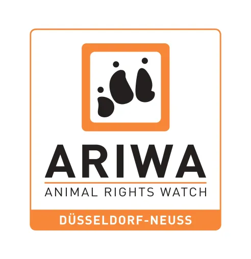 Bild: 17.09.2022: Demonstration „Schlachthäuser schließen!“ in Düsseldorf