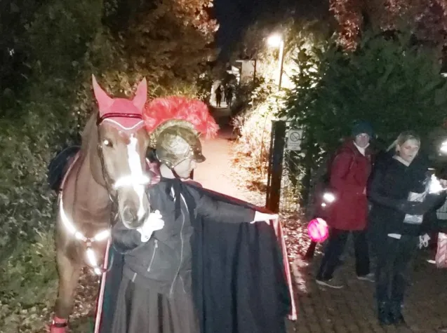 Bild: CJD Kita Weltentdecker unter den 900 Menschen beim St. Martinszug in Frechen Buschbell