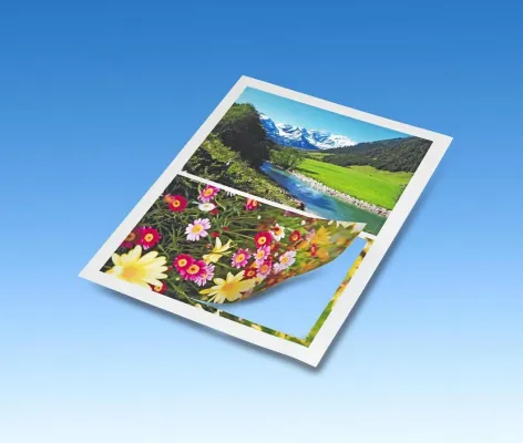 Bild: Fotomagnete gestalten leicht gemacht