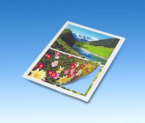 Fotomagnete gestalten leicht gemacht Bild: Fotomagnete gestalten leicht gemacht