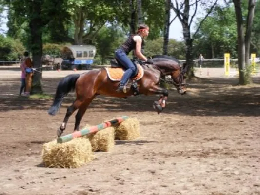 Bild: Cowboys und Banditen - Rüsselsheimer Volksbank und Rüsselsheimer Reitsportverein