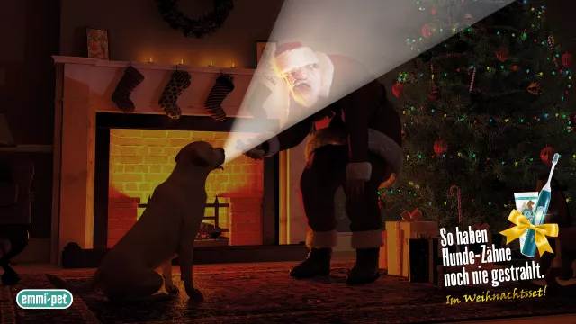 Bild: Schmittgall HEALTH und emmi-pet lassen Weihnachten 2020 erstrahlen