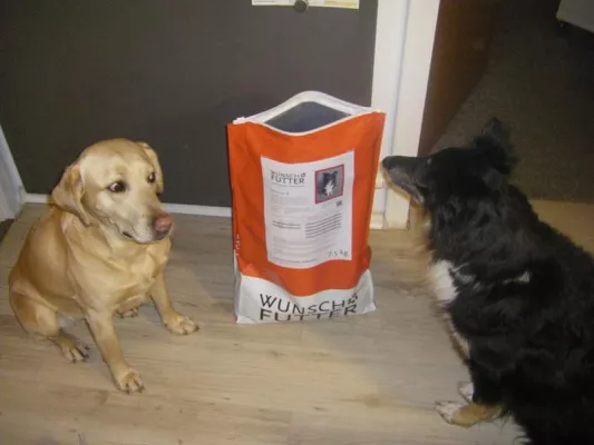 Bild: Wunschfutter stellte sich dem Stadthunde.com-Futtertest