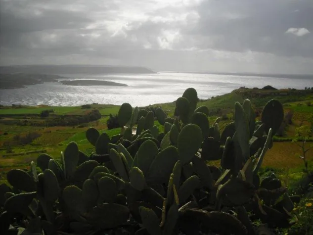 Bild: Englisch wird immer wichtiger im Umgang mit dem Computer und dem Internet