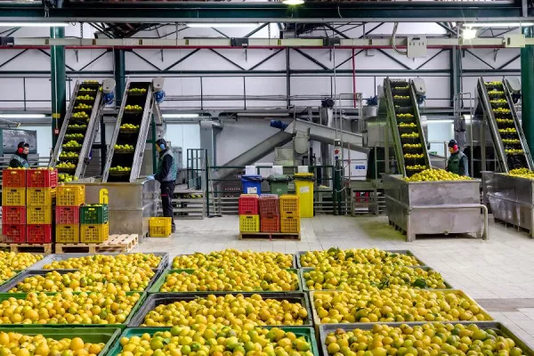 Hochwertige ätherische Öle und Essenzen durch Vakuumdestillation Bild: Hochwertige ätherische Öle und Essenzen durch Vakuumdestillation