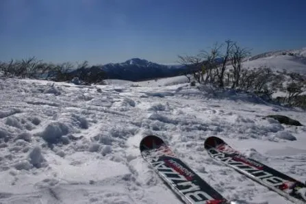 Vom Sofa auf die Piste Bild: Vom Sofa auf die Piste