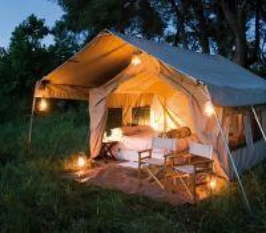 Bild: Neue Flugsafari - Botswana Wildlife Intensiv