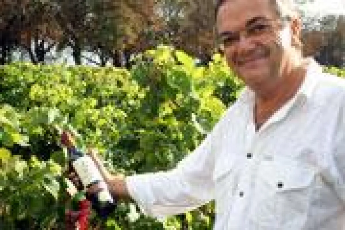 Rémi Lacombe und sein ungewöhnlicher Wein.