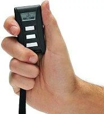 Bild: Hundeerziehung: Teletakt vs. Ferntrainer für den Hund