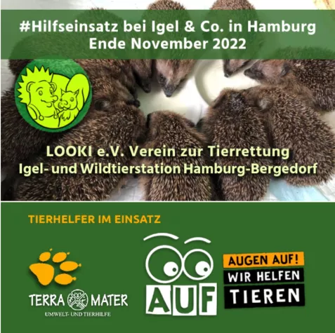 „Der Winter naht“ meldet LOOKI e.V. Wildtierstation in Hamburg Bergedorf Bild: „Der Winter naht“ meldet LOOKI e.V. Wildtierstation in Hamburg Bergedorf