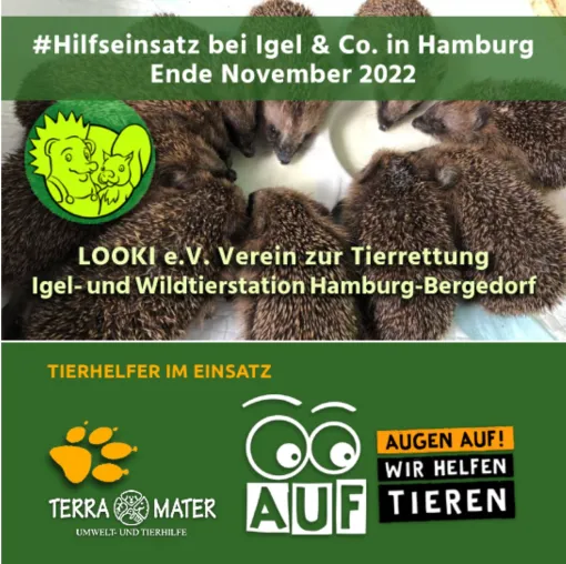 „Der Winter naht“ meldet LOOKI e.V. Wildtierstation in Hamburg Bergedorf Bild: „Der Winter naht“ meldet LOOKI e.V. Wildtierstation in Hamburg Bergedorf
