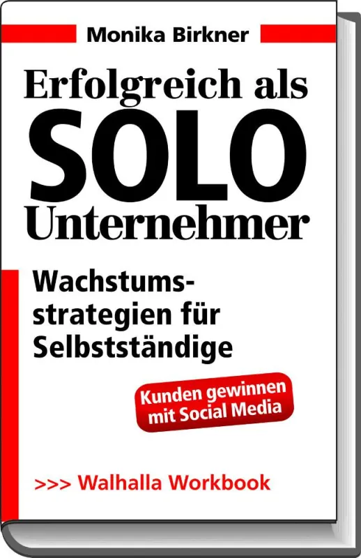 Erfolgskompass für Solo-Unternehmer