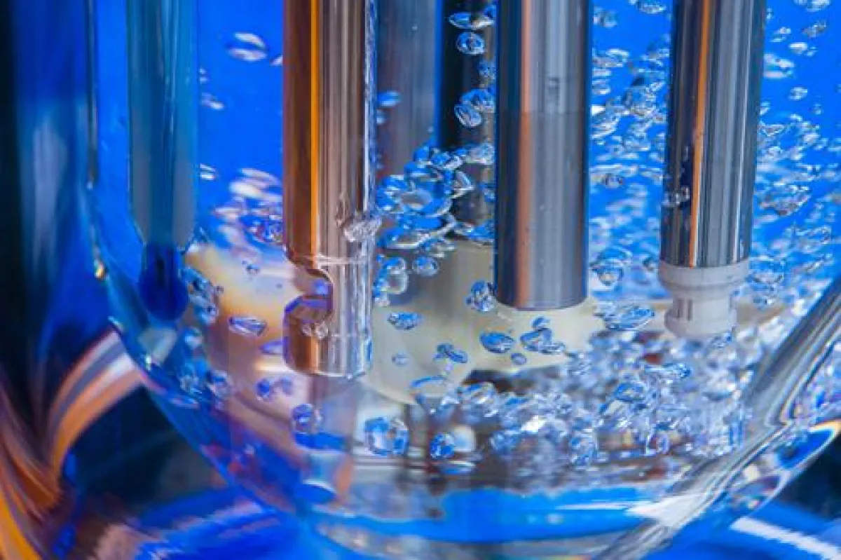 Die kundenspezifischen Prozesse werden in Bioreaktoren so detailgetreu wie möglich nachgestellt