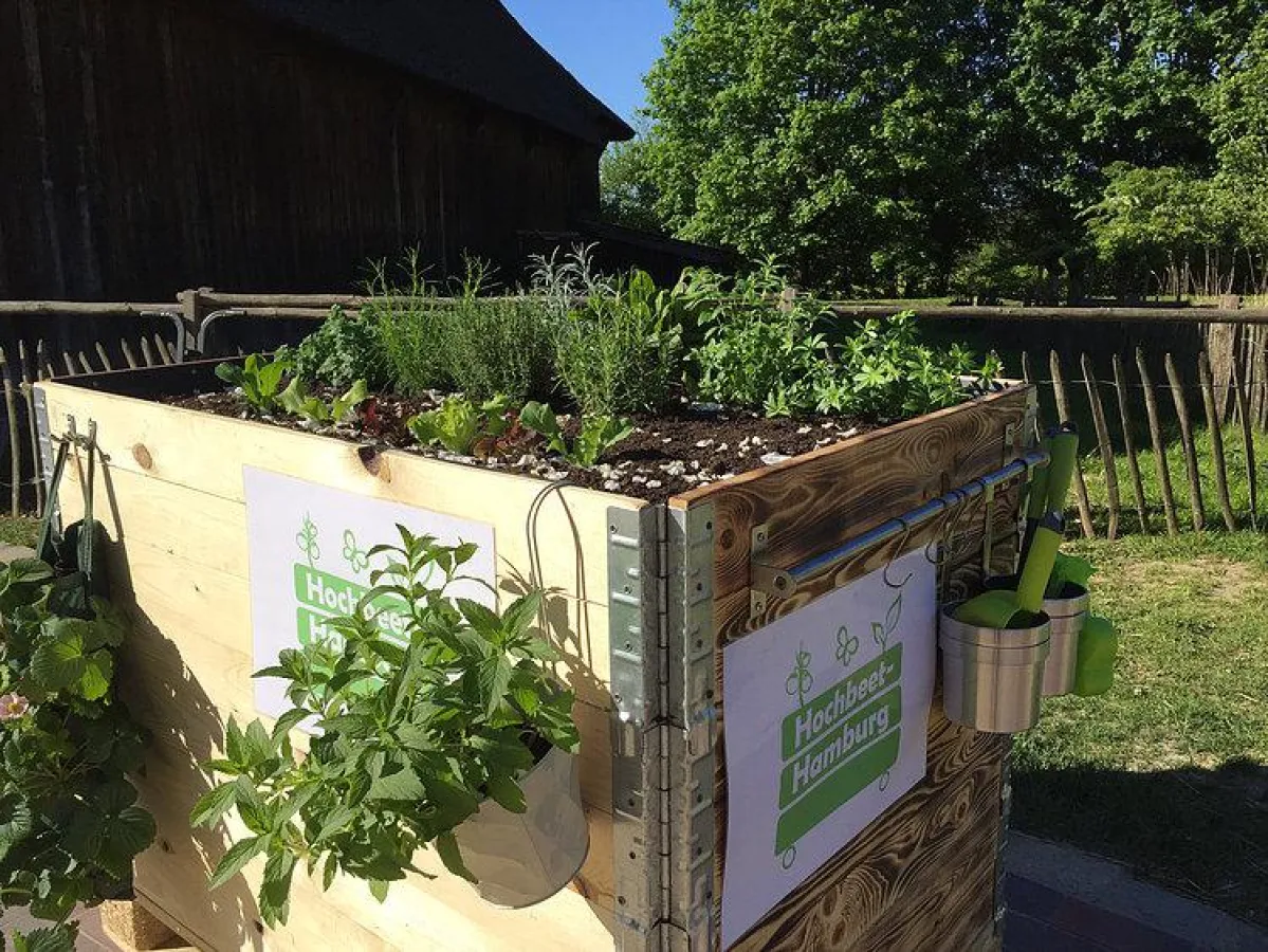 Hochbeet Hamburg