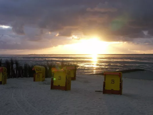 Bild: Hereinspaziert: Willkommen im Weltnaturerbe Wattenmeer