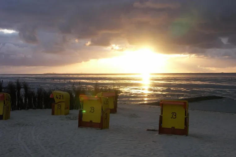Hereinspaziert: Willkommen im Weltnaturerbe Wattenmeer Bild: Hereinspaziert: Willkommen im Weltnaturerbe Wattenmeer