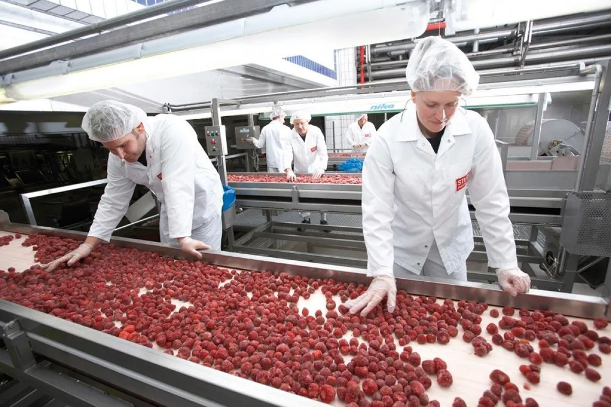 Alle Rohwaren werden bei STUTE absolut frisch und nahezu unbehandelt verarbeitet