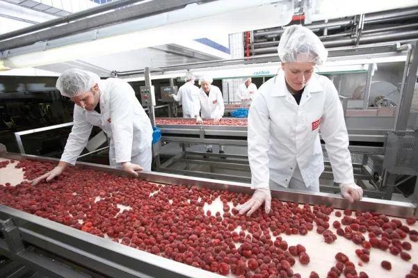 Bild: Rohwaren bei STUTE: "Wir wissen, was wir verarbeiten."