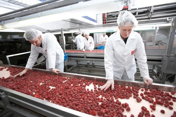 Rohwaren bei STUTE: "Wir wissen, was wir verarbeiten." Bild: Rohwaren bei STUTE: "Wir wissen, was wir verarbeiten."